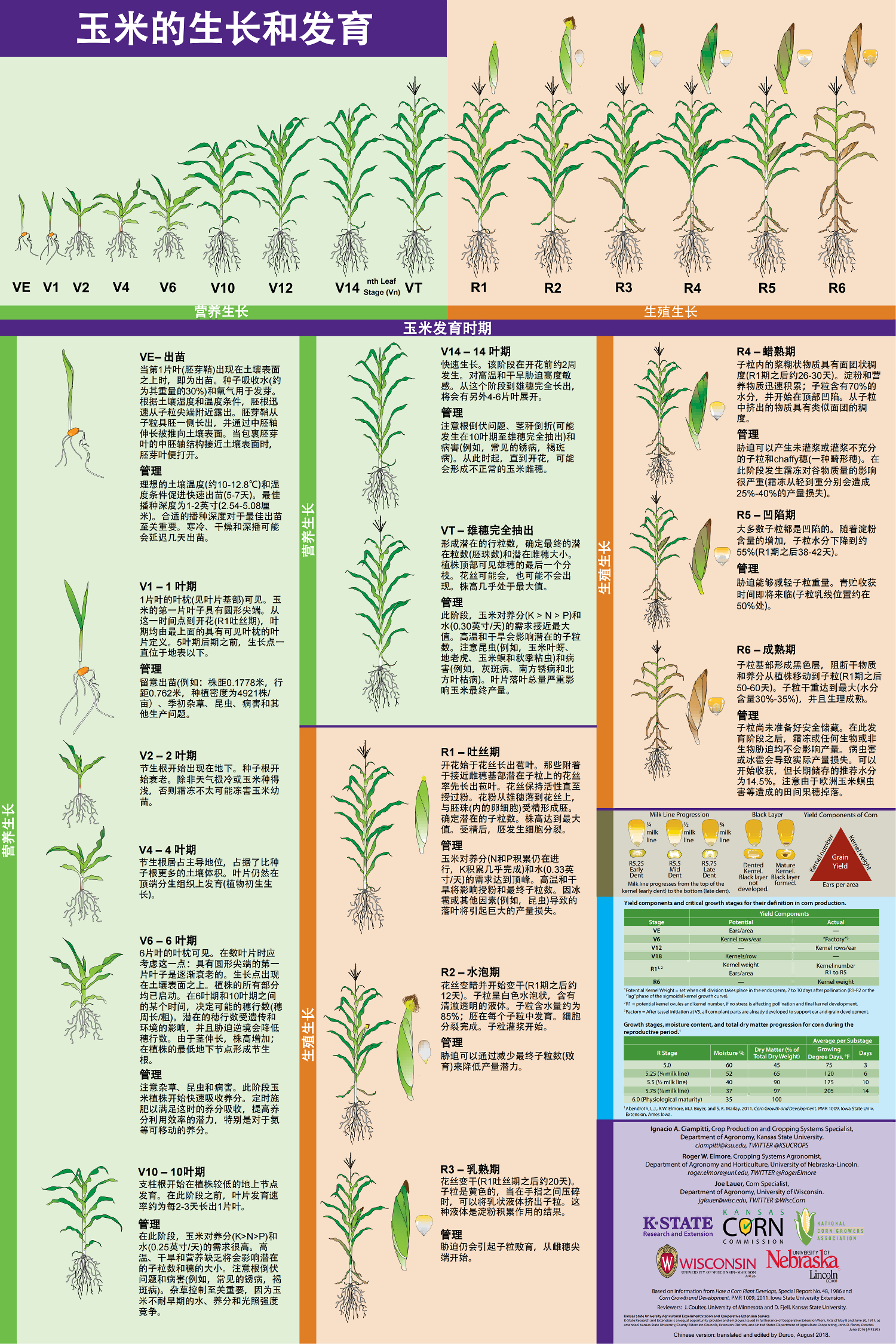 玉米的生長和發育（中文版）_00(1).png