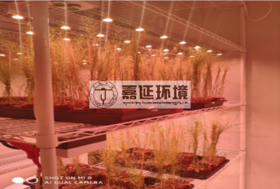 19河南大學(xué) (3).png