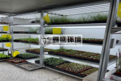 13北京市農(nóng)林科學院蔬菜所 (2).png