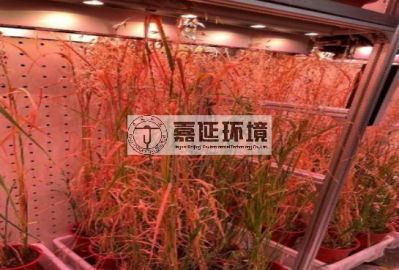 5中國農業大學草業科學與技術學院 (2).png