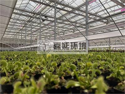 中國科學(xué)院昆明植物研究所Kunming....jpg