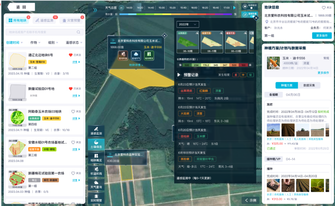 大撒大撒大王威.png